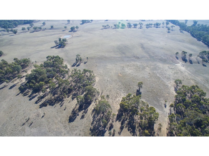 545 Carnochans Road, Myrtle Creek VIC 3444