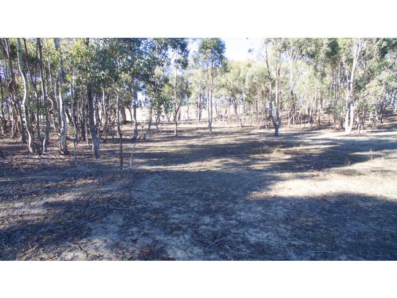 545 Carnochans Road, Myrtle Creek VIC 3444