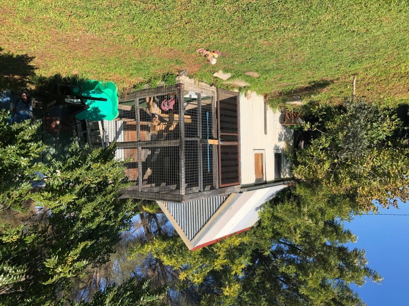 19 Hall Street, Eaglehawk VIC 3556