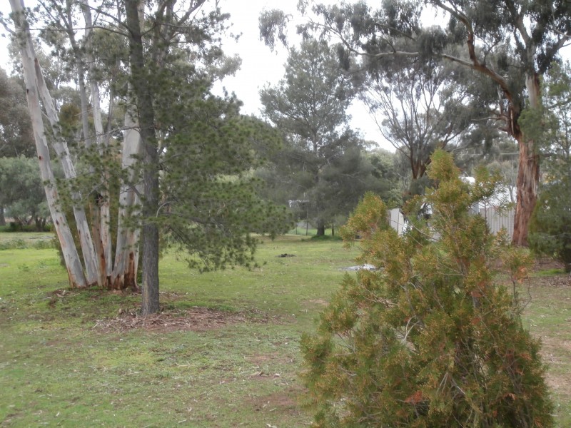 74 Wilson Street, Wedderburn VIC 3518