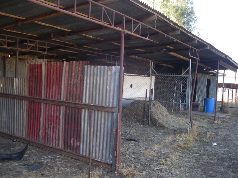 842 Dingee-Serpentine Road, Dingee VIC 3571