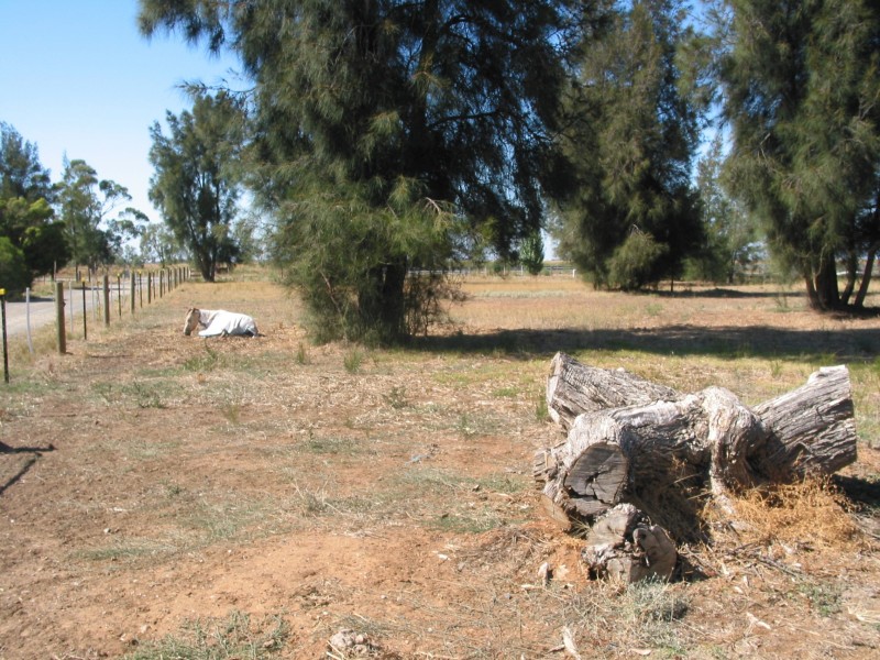 842 Dingee-Serpentine Road, Dingee VIC 3571