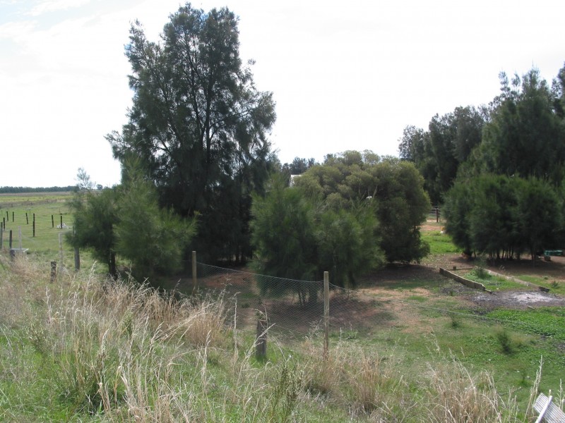 842 Dingee-Serpentine Road, Dingee VIC 3571