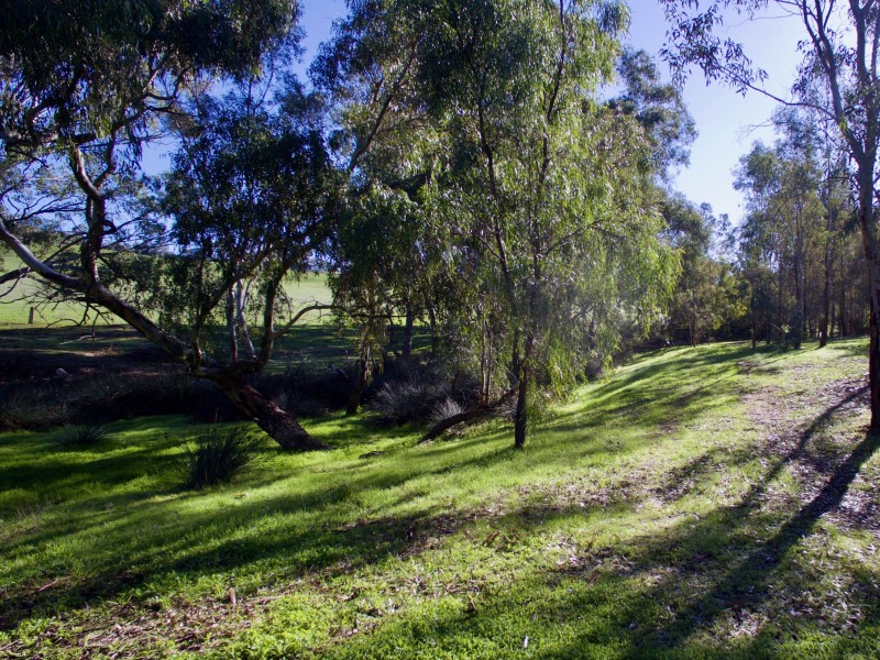 60 Bendigo-Maldon Road, Lockwood South VIC 3551