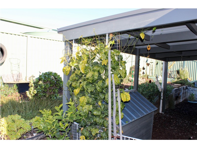 24 Inverness Drive, Junortoun VIC 3551