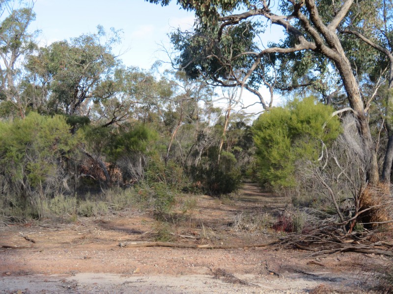 17 Wallaby Way, Wedderburn VIC 3518