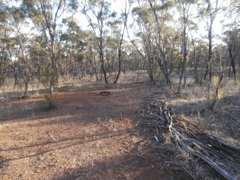 17 Wallaby Way, Wedderburn VIC 3518