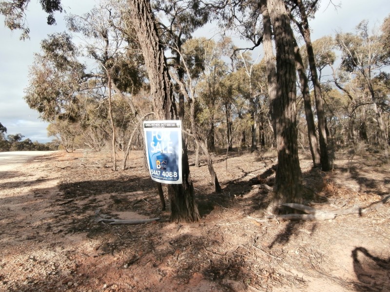 17 Wallaby Way, Wedderburn VIC 3518