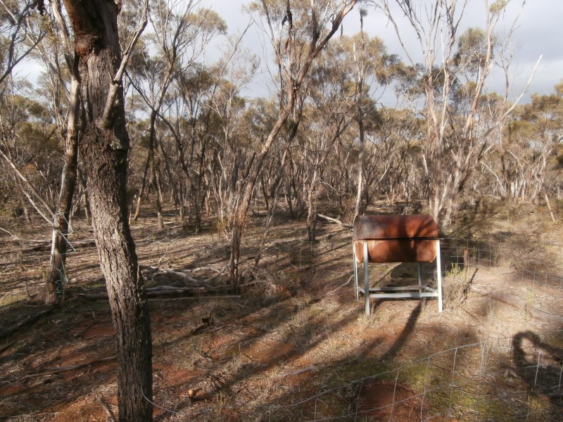 17 Wallaby Way, Wedderburn VIC 3518