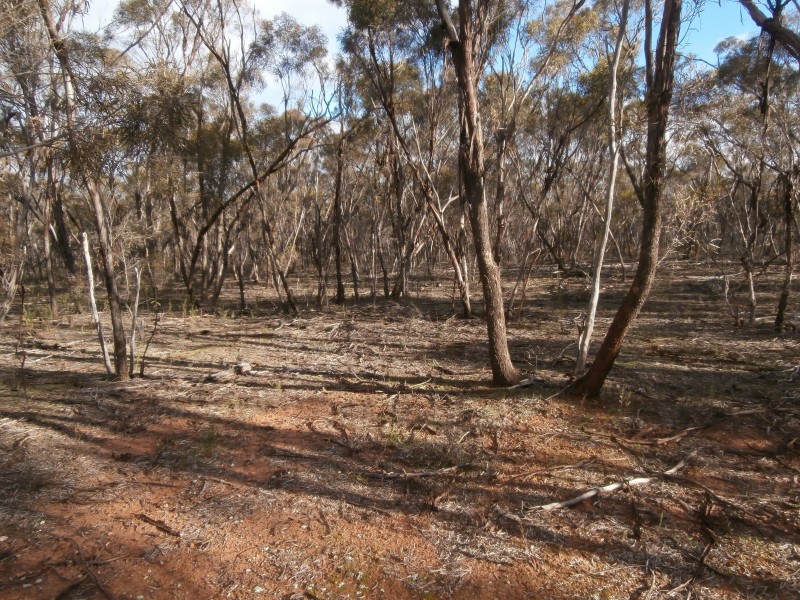 17 Wallaby Way, Wedderburn VIC 3518