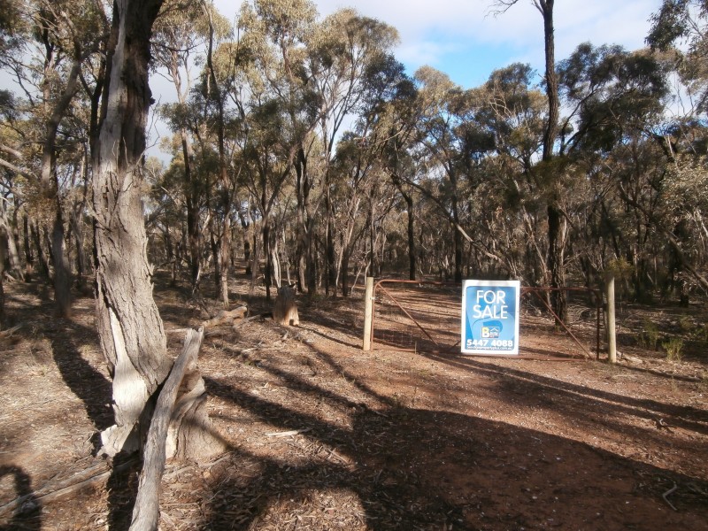 17 Wallaby Way, Wedderburn VIC 3518