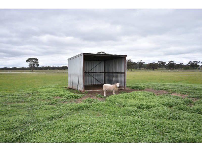 Wedderburn VIC 3518