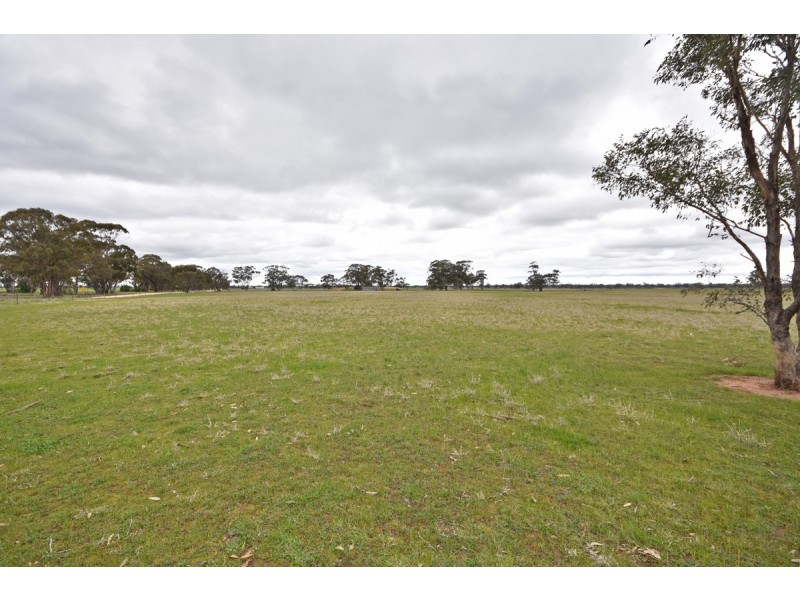 Wedderburn VIC 3518