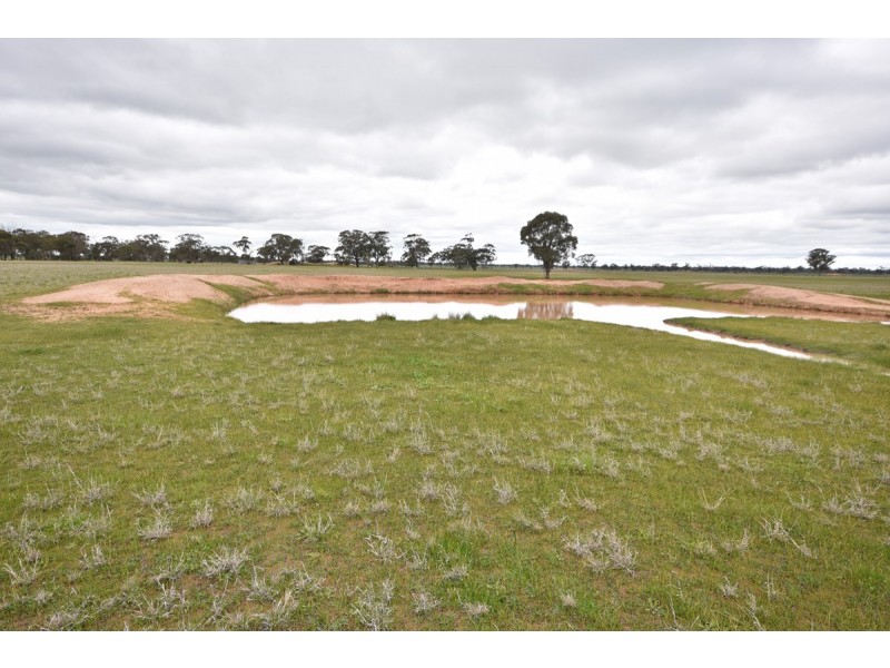 Wedderburn VIC 3518
