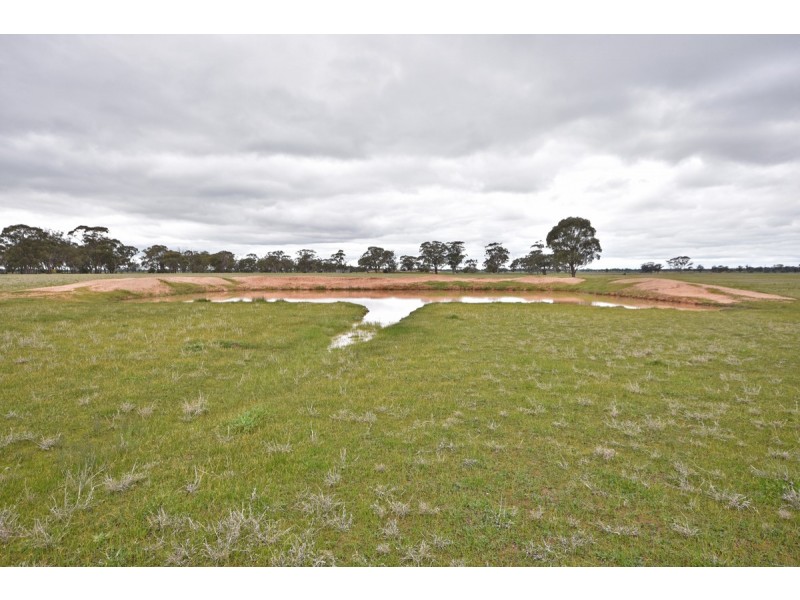 Wedderburn VIC 3518