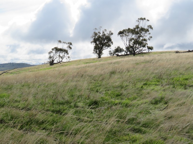 2500 Sheltons Road, Berrimal VIC 3518