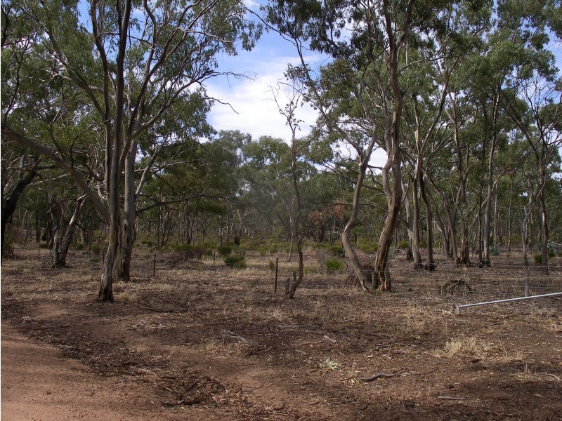 2500 Sheltons Road, Berrimal VIC 3518