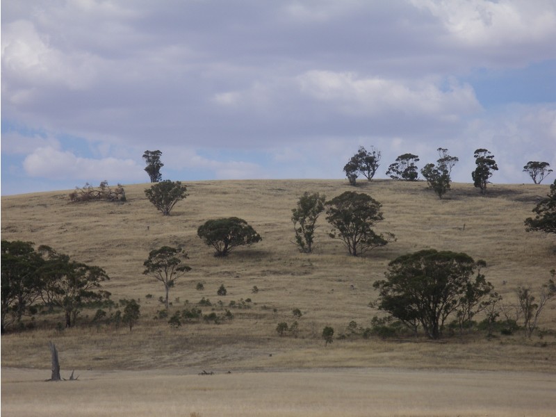 2500 Sheltons Road, Berrimal VIC 3518