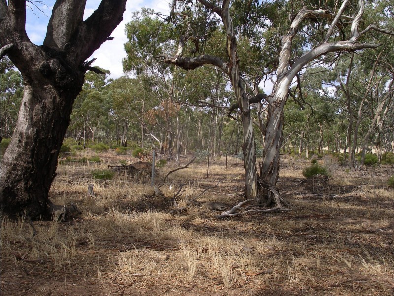 2500 Sheltons Road, Berrimal VIC 3518