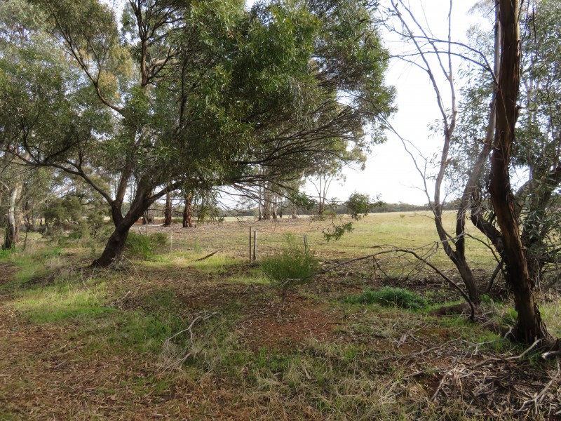 2500 Sheltons Road, Berrimal VIC 3518