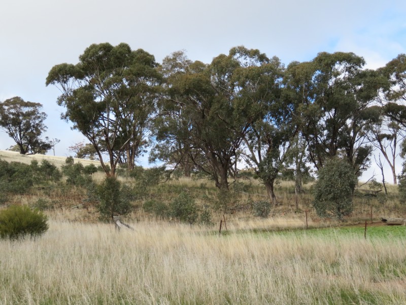 2500 Sheltons Road, Berrimal VIC 3518