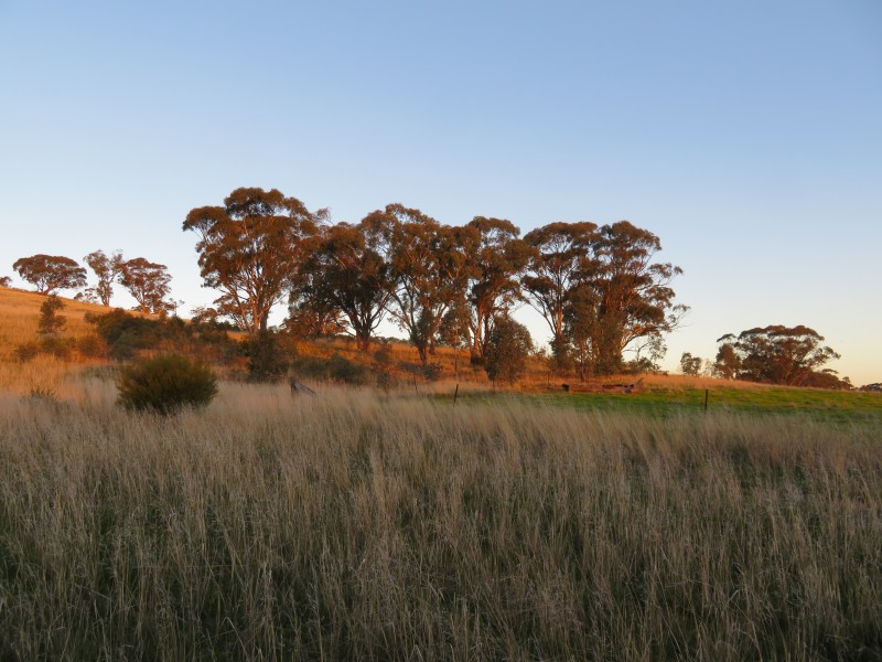 2500 Sheltons Road, Berrimal VIC 3518