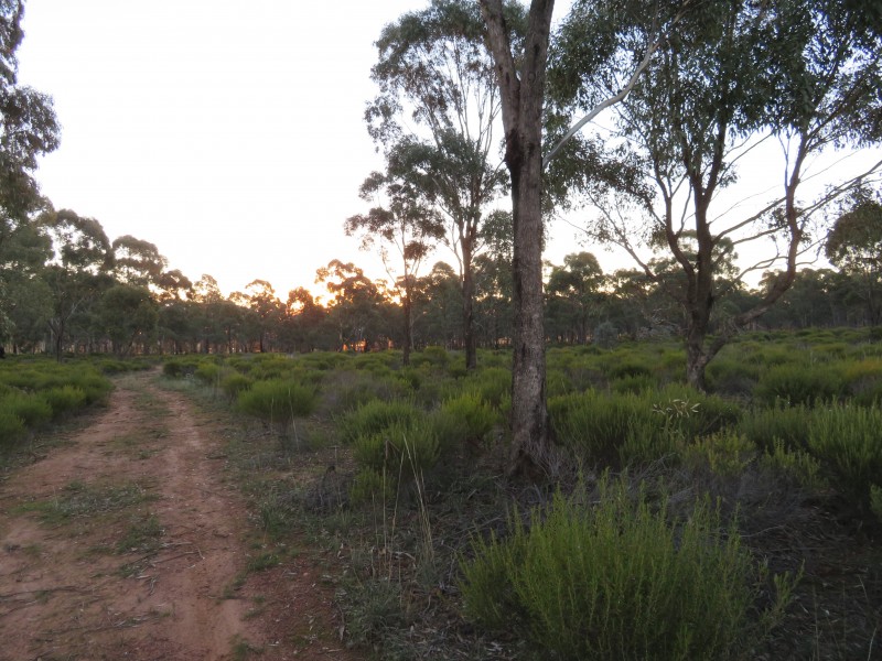 2500 Sheltons Road, Berrimal VIC 3518