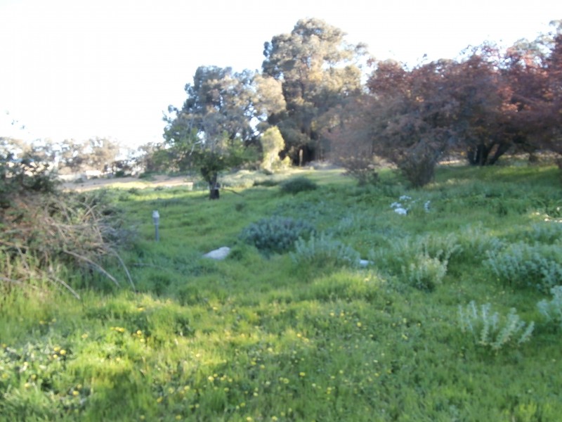 165-175  Olympic Parade, Kangaroo Flat VIC 3555