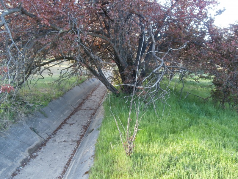 165-175  Olympic Parade, Kangaroo Flat VIC 3555