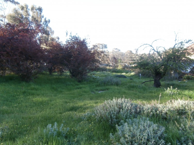 165-175  Olympic Parade, Kangaroo Flat VIC 3555