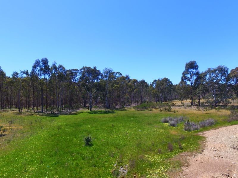 235 Sims Road, Eppalock VIC 3551