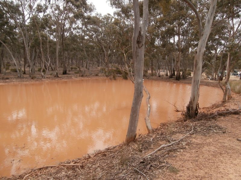 126 Nine Mile South Road, Wedderburn VIC 3518