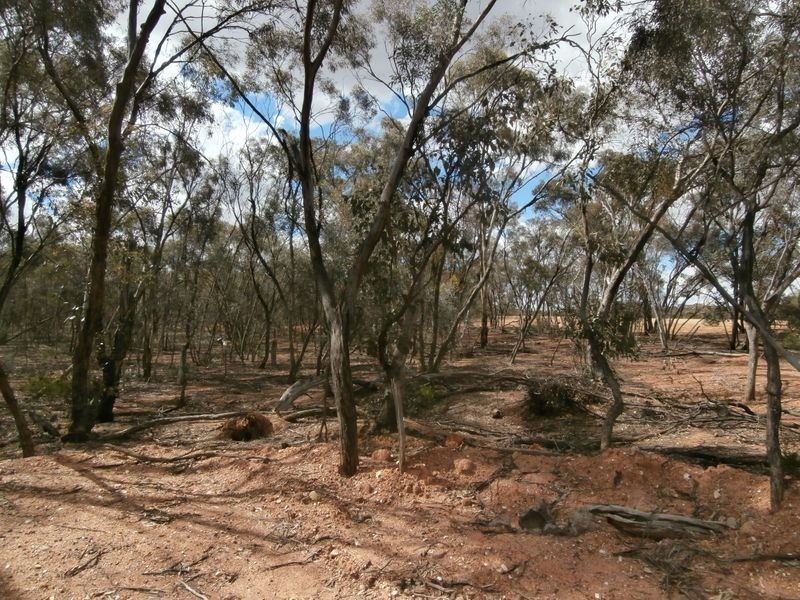 126 Nine Mile South Road, Wedderburn VIC 3518