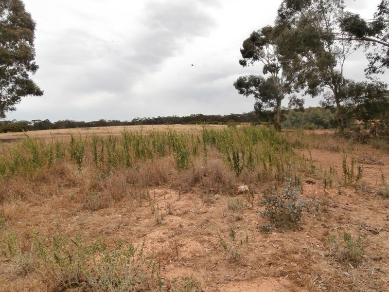 126 Nine Mile South Road, Wedderburn VIC 3518