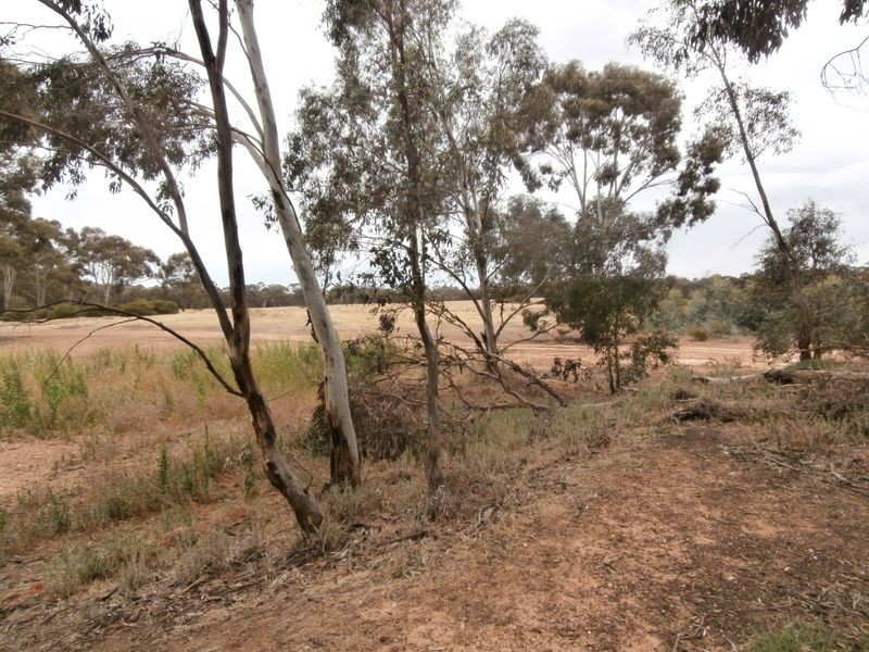 126 Nine Mile South Road, Wedderburn VIC 3518