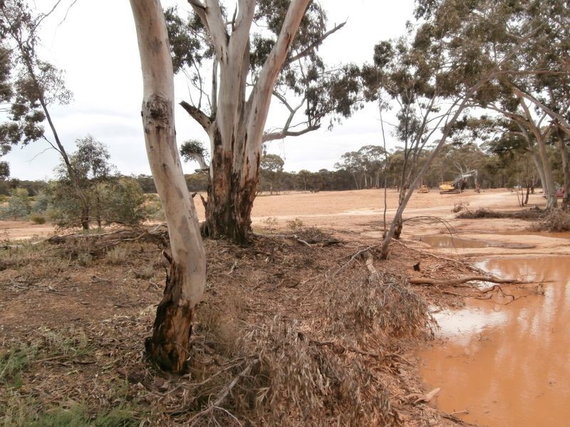 126 Nine Mile South Road, Wedderburn VIC 3518