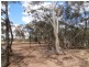 126 Nine Mile South Road, Wedderburn VIC 3518