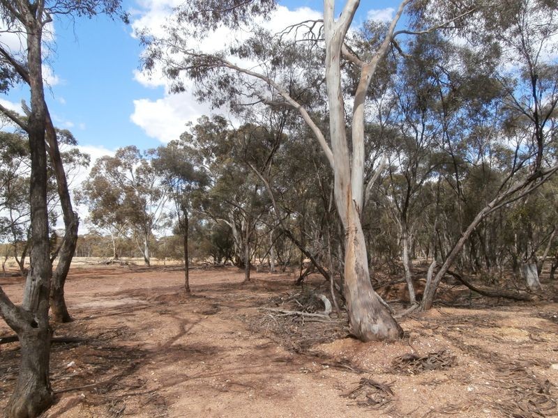 126 Nine Mile South Road, Wedderburn VIC 3518