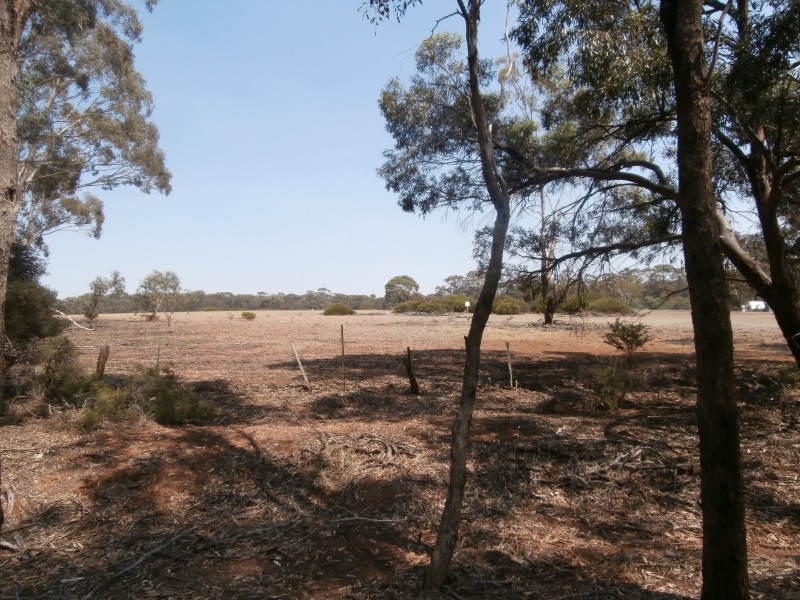 126 Nine Mile South Road, Wedderburn VIC 3518