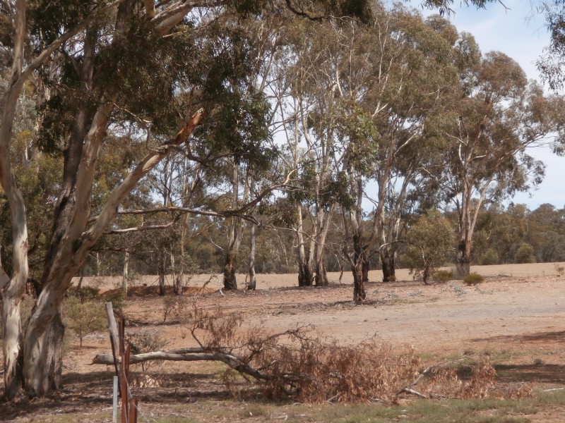 126 Nine Mile South Road, Wedderburn VIC 3518