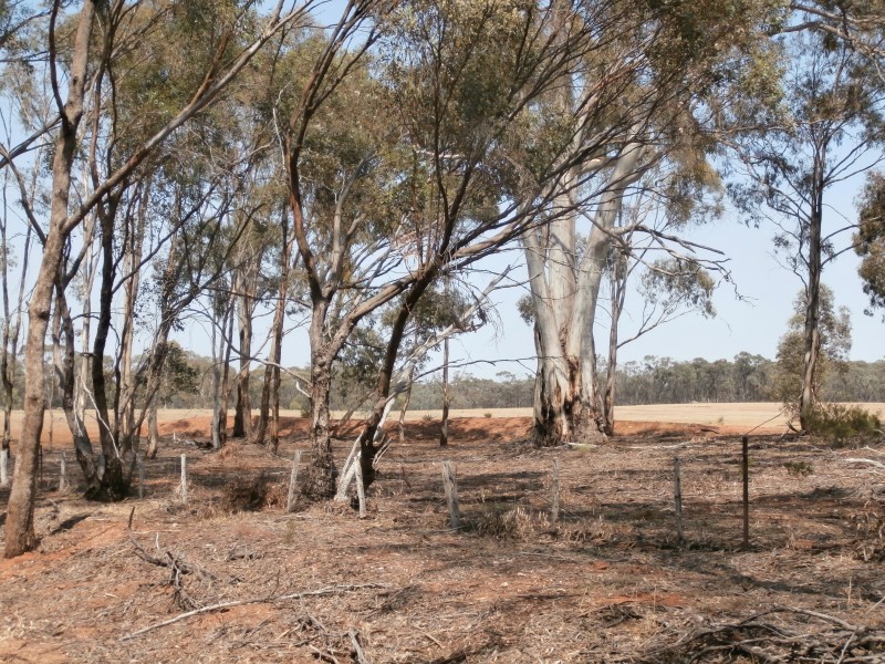 126 Nine Mile South Road, Wedderburn VIC 3518