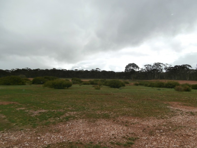 126 Nine Mile South Road, Wedderburn VIC 3518