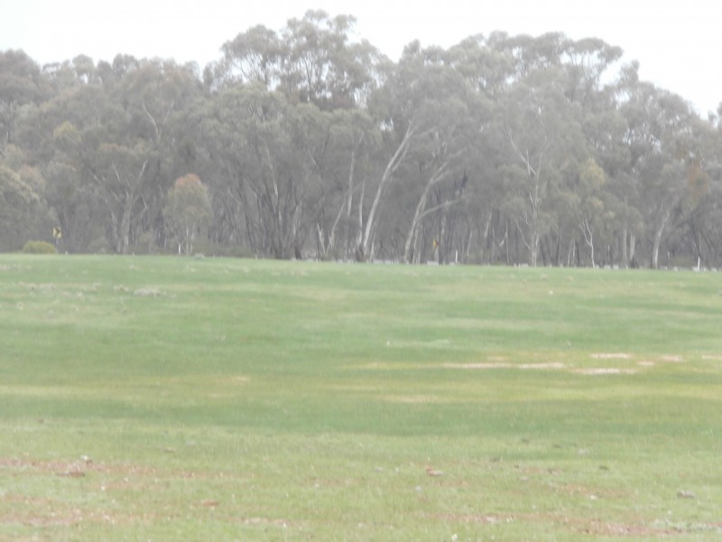 126 Nine Mile South Road, Wedderburn VIC 3518