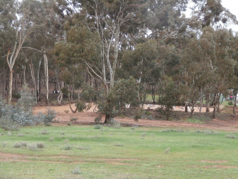 126 Nine Mile South Road, Wedderburn VIC 3518