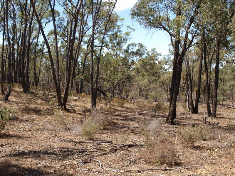 387 Goldsborough Road, Goldsborough VIC 3472