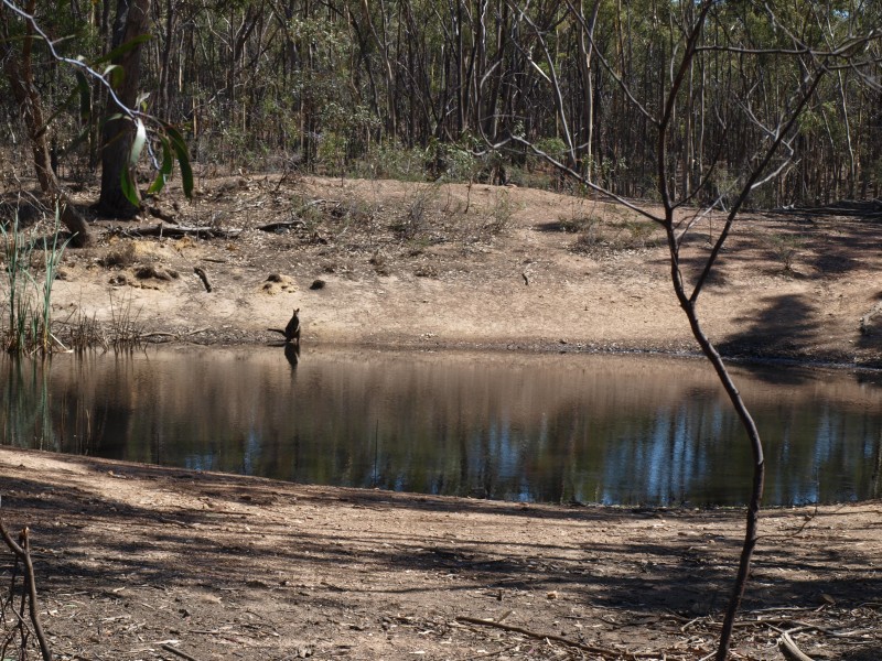 387 Goldsborough Road, Goldsborough VIC 3472
