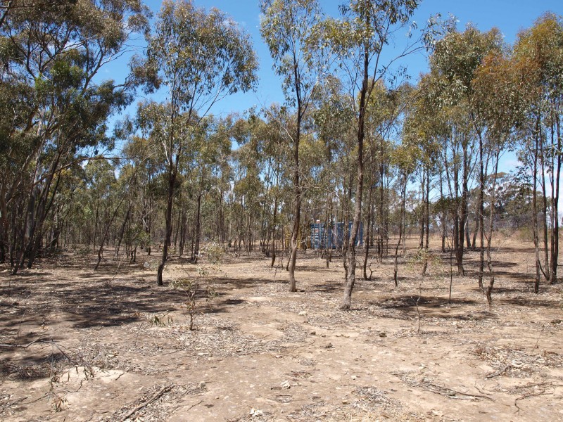 387 Goldsborough Road, Goldsborough VIC 3472