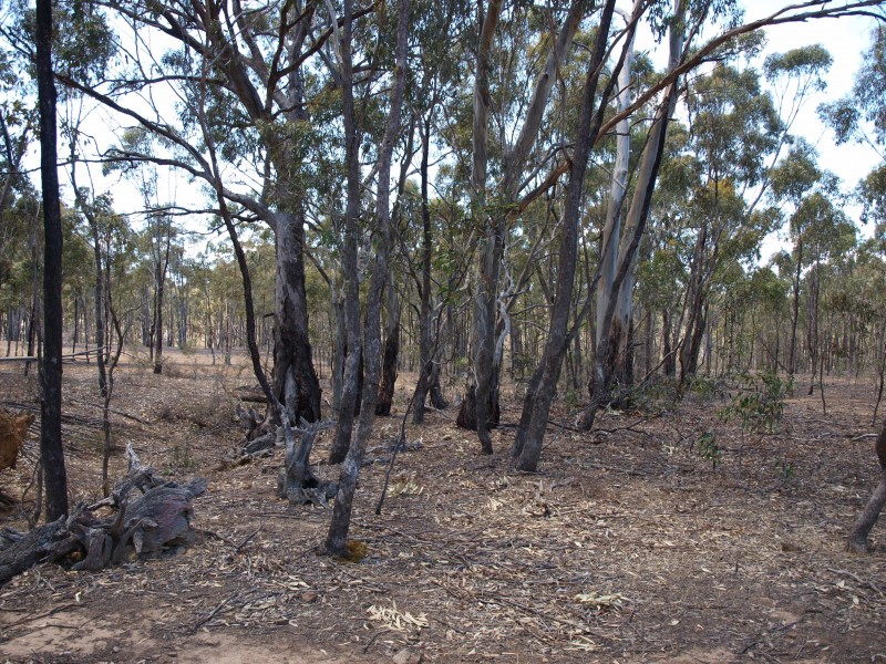 387 Goldsborough Road, Goldsborough VIC 3472