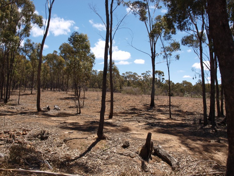 387 Goldsborough Road, Goldsborough VIC 3472