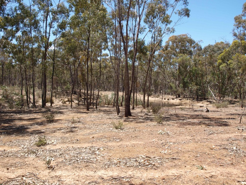 387 Goldsborough Road, Goldsborough VIC 3472